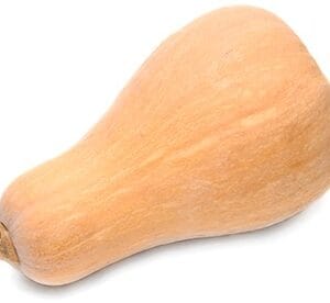 Butternut squash