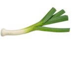 Leek