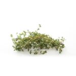 Thyme