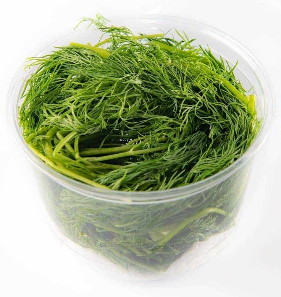 Washed dill Washed dill - Image 1