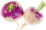 Turnip