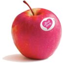 Pink lady apple