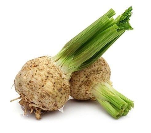 שורש סלרי Celery root - Image 1