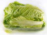 Washed lettuce
