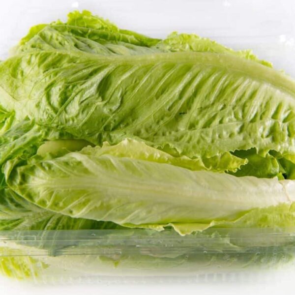 Washed lettuce